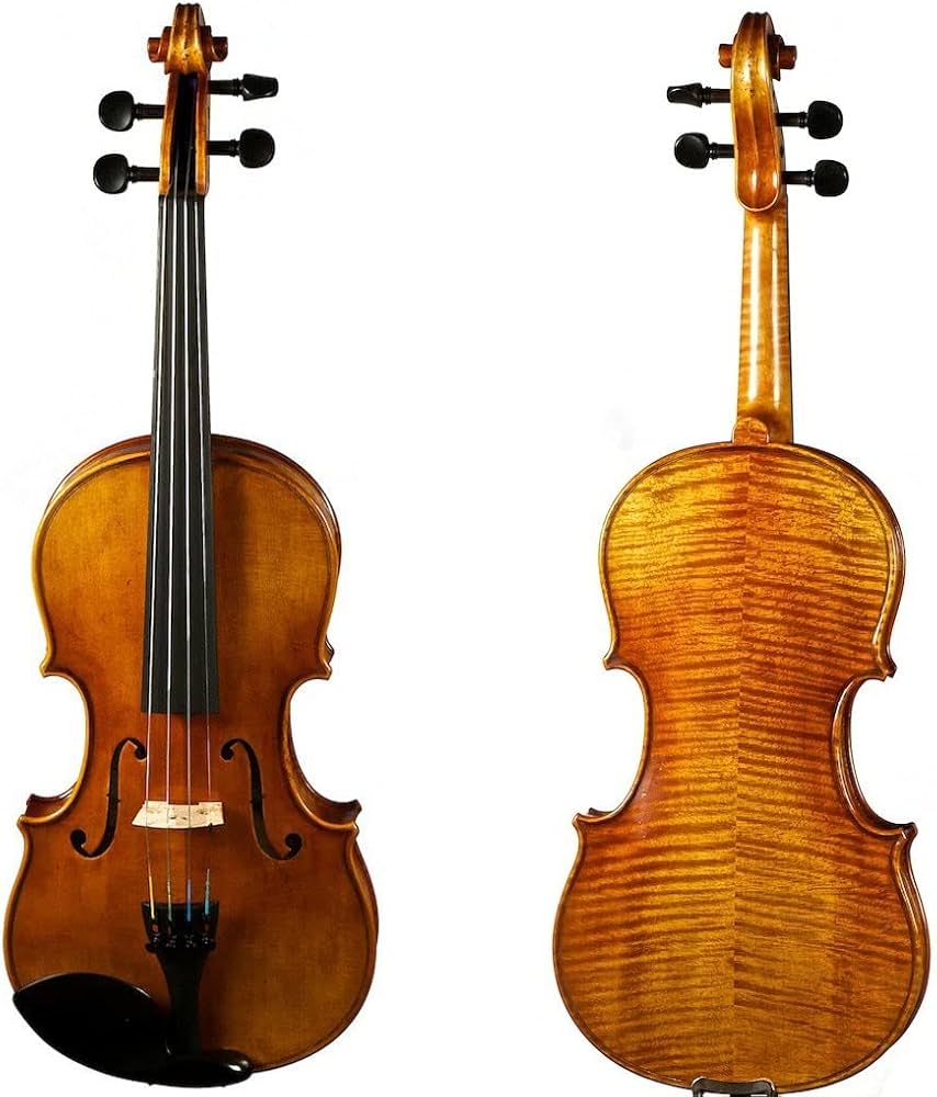 ほぼ未使用 Stentor 1505N Viola ヴィオラ Stentor Student II viola outfit - Stentor Music